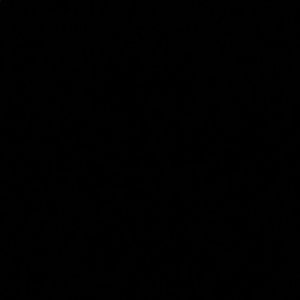 Meet your Posher, Patty